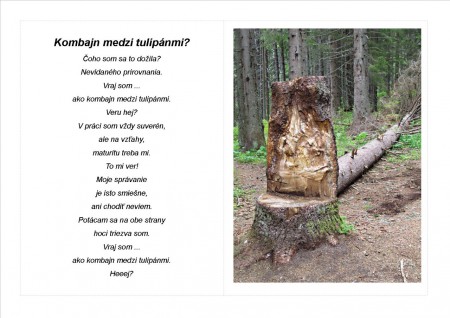 Ukážka z knihy
